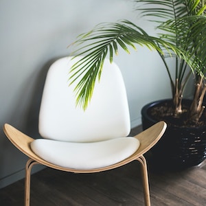 chair_and_plant